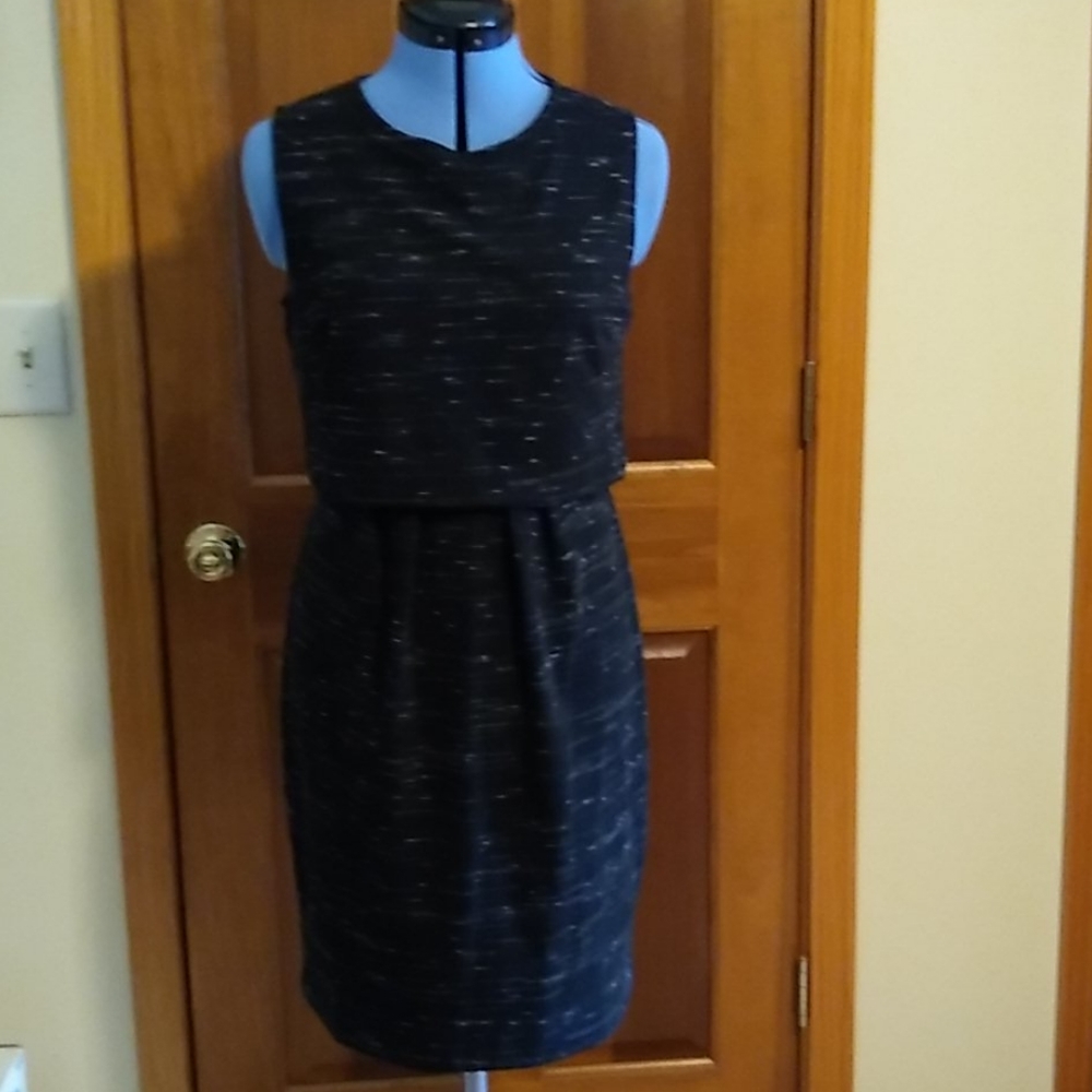 Ann Taylor shift dress 10